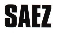 logo Damien Saez
